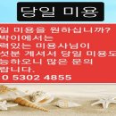 빠박이 애견미용 이미지