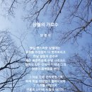 삼월 Daum카페