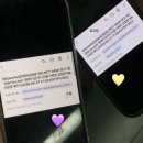 남미새일상
