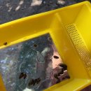 로뎀라운지 이미지