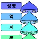 생명과 종의 기원 - 분자생물학 이미지