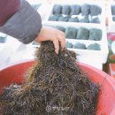 북평면남창5일시장 이미지