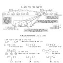 가계도 그리는법 이미지