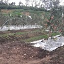 엄정면사무소 이미지