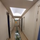 청개구리노래연습장 이미지