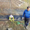 무수농장 이미지