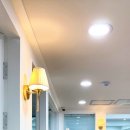 체형교정발레 이미지