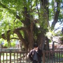 무한리싸이클 | Happy Birthday To me