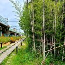 고잔소공원 이미지