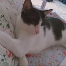 헤어마실 네이버블로그