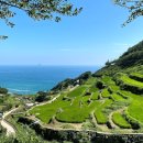 다랭이마을 이미지