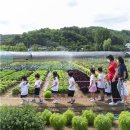 광명농장2 이미지