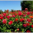 형제파크 이미지