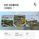 플라워그라운드