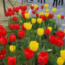 欣快히 지갑을 열어 <b>친구들</b>을 즐겁게 해준 4. 21일 금요...