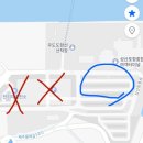 검멀레리조트 | 우도 당일치기 여행 &amp; 우도 보트투어 내돈내산후기!