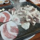 진정농장 이미지