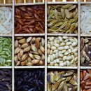 원당한의원 이미지