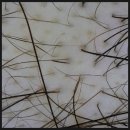 차오르다의원 이미지