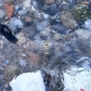 일일일반점 이미지