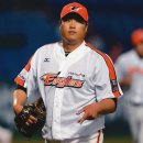 조련 카카오 검색결과