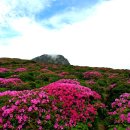 산천초목 이미지