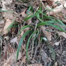 화정보건지소 이미지