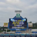 동촌캣 | 베짱이의 꽉찬 2주