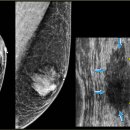 고려메디웰의원 이미지