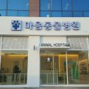 마음 동물병원 이미지