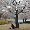 호수공원 제2주차장 이미지