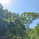 장안여관 이미지