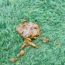 덕영대로 | [멜로디 율이의 일상다반사] 2026년 일상 하나