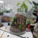 양지로 281번길 | 식집사의 휴 식물디자인샵 남양주 테라리움 원데이클래스 공방 체험 후기!