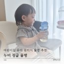 어린이집 유아 물병 추천 원터치라 아이 혼자서도 편한 누비 정글 물병 후기