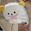 백화오락실 | 일상로그(25.07.14~07.20)