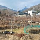 대한리경로당 티스토리