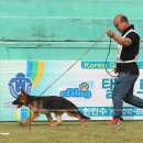 Gumiland 이미지