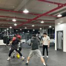동탄센트럴복싱짐 | 복싱 1:1 맞춤 기술 지도 최적화된 체육관 &#39;동탄센트럴복싱짐&#39; 체험 후기feat. 남편 감탄 연발