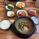 우진카 | 1일차 오전~오후 코스: 제주 렌트 아마노렌터카, 우진해장국, 도두동 해안도로, 오라동 메밀밭 솔직후기