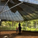 탑(TOP) 승마클럽 이미지