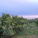 열린농장 이미지