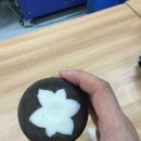 네이쳐스토리