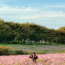 태산목장 이미지