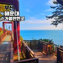 최치원 유적지 | 해운대 석각 동백섬 출렁다리 부산 바다를 즐기는 특별한 산책길