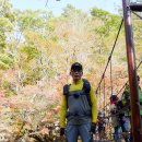 피아골(기산) Daum카페