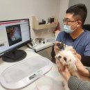 첨단우리동물병원 이미지