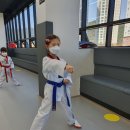 리틀우리태권도 이미지