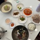 낙원메밀 | 수원 행궁동맛집 / 낙원메밀 모든메뉴 다 만족한 내돈내산 후기