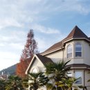 철수네집 이미지